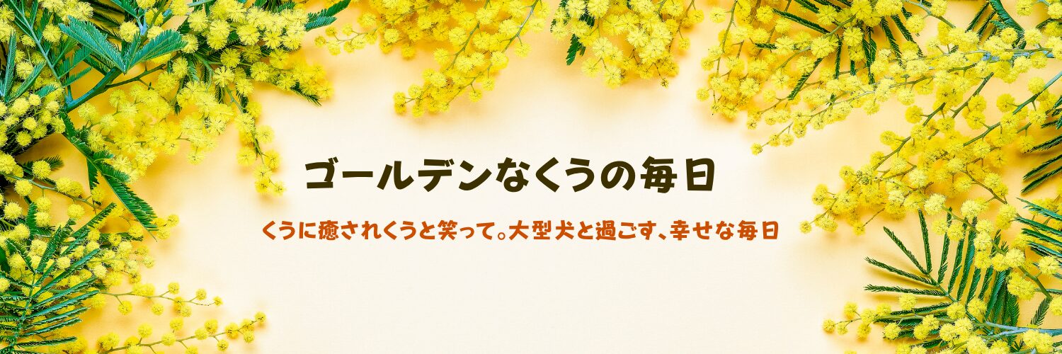 ゴールデンなくうの毎日